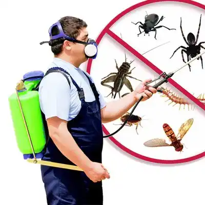 pest control Marston